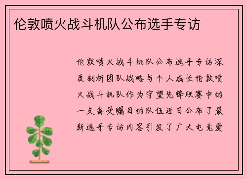 伦敦喷火战斗机队公布选手专访