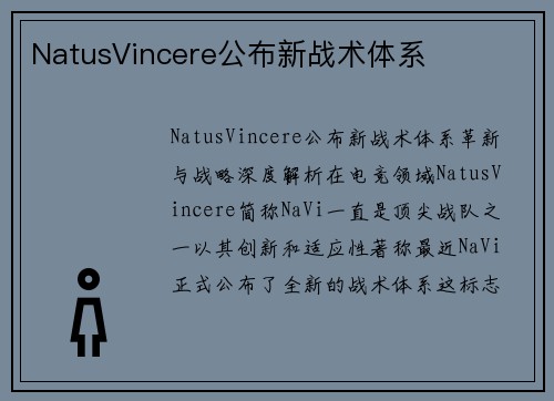 NatusVincere公布新战术体系