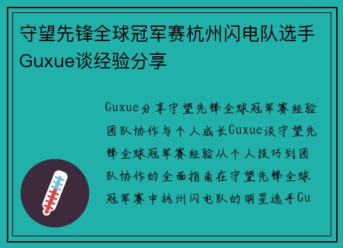 守望先锋全球冠军赛杭州闪电队选手Guxue谈经验分享