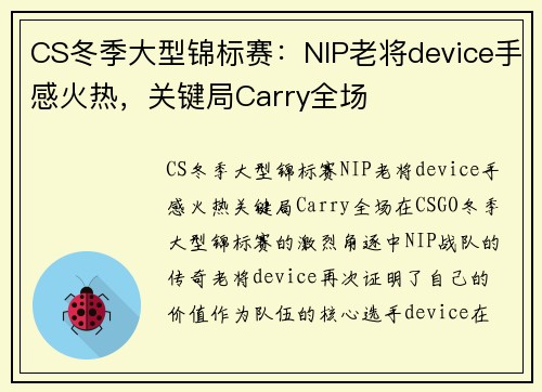 CS冬季大型锦标赛：NIP老将device手感火热，关键局Carry全场