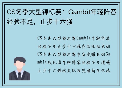 CS冬季大型锦标赛：Gambit年轻阵容经验不足，止步十六强