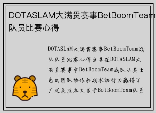 DOTASLAM大满贯赛事BetBoomTeam战队队员比赛心得